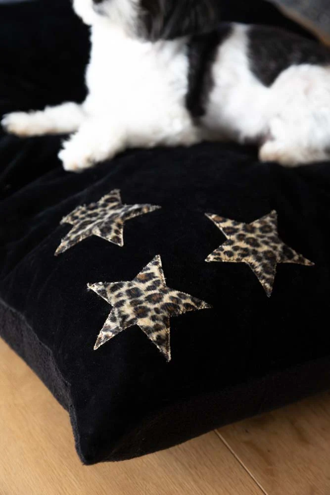 Leopard Stars Dog Bed - 3 Available Sizes - Image 2