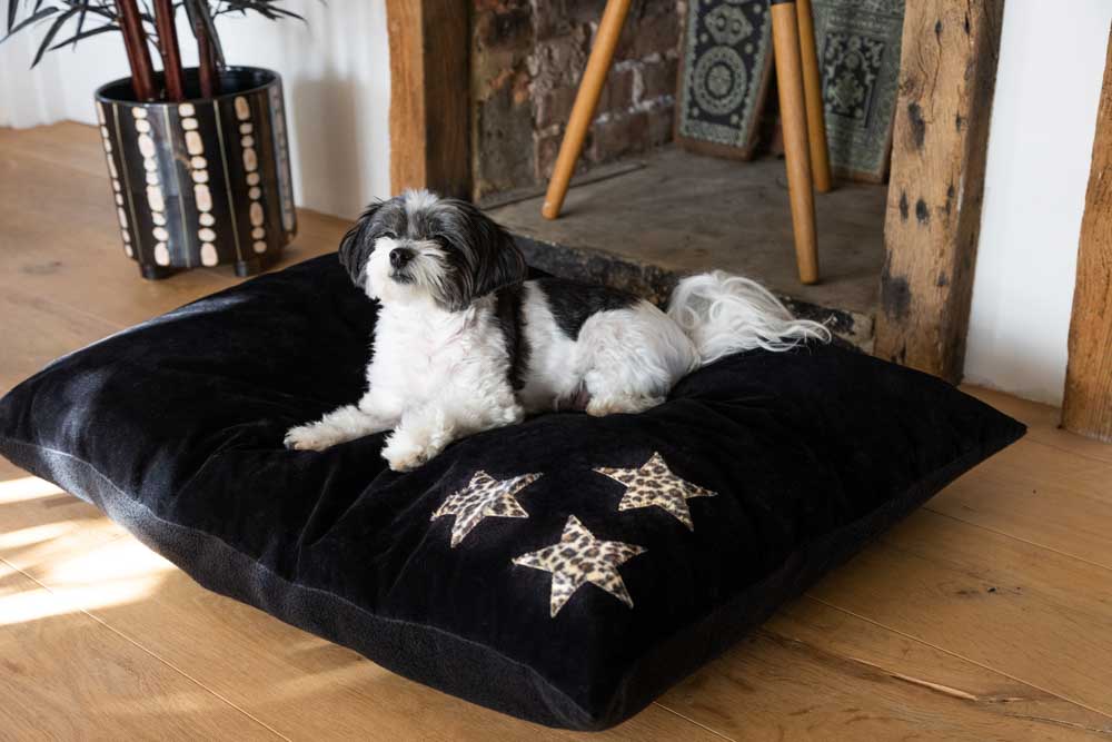 Leopard Stars Dog Bed - 3 Available Sizes - Image 9