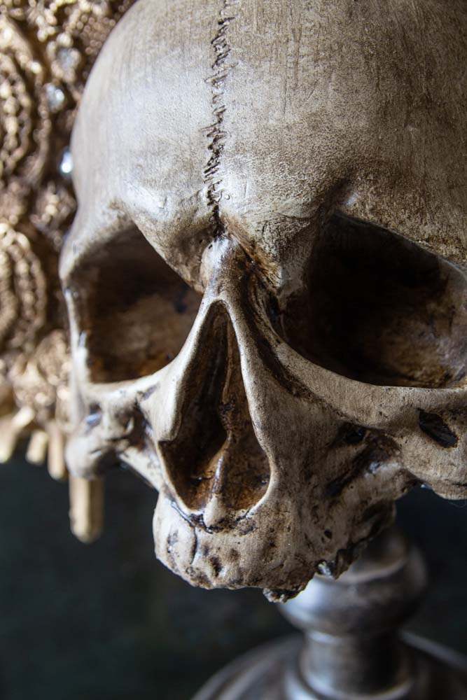 Natural King Skull Ornament - Image 5