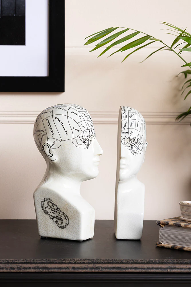 Phrenology Head Ornament / Bookends