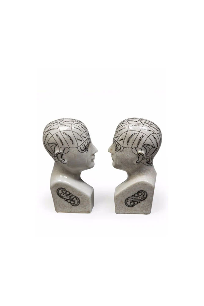 Phrenology Head Ornament / Bookends - Image 5
