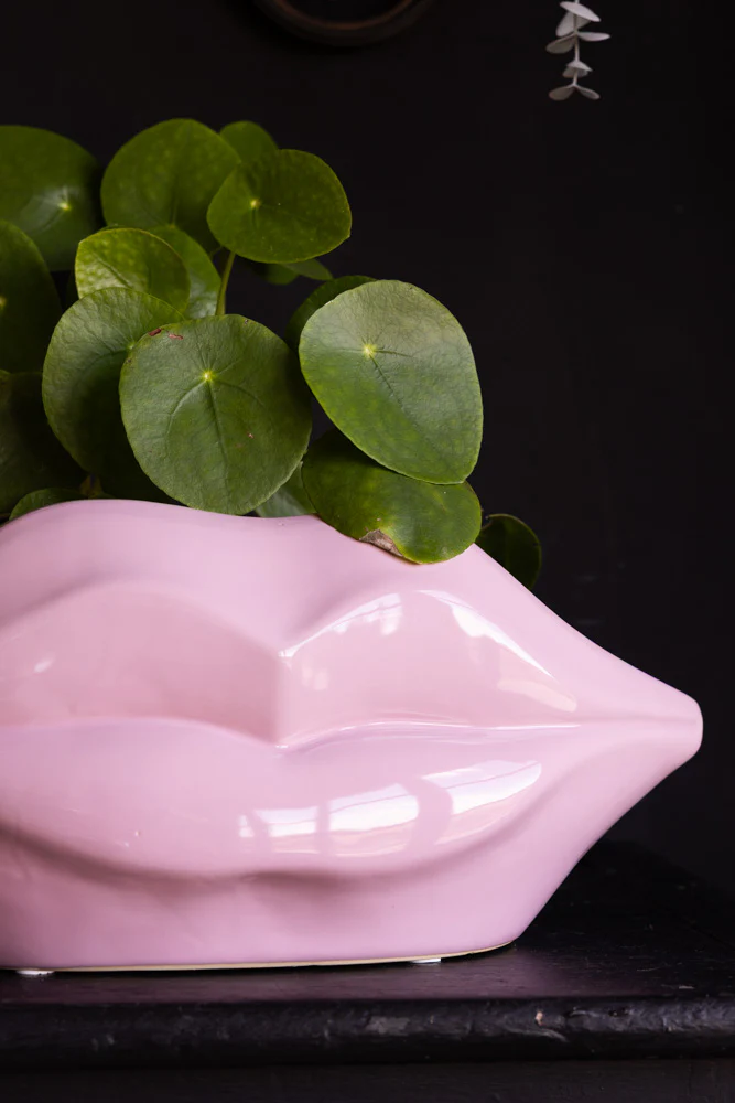 Pink Lips Indoor Planter - Image 2