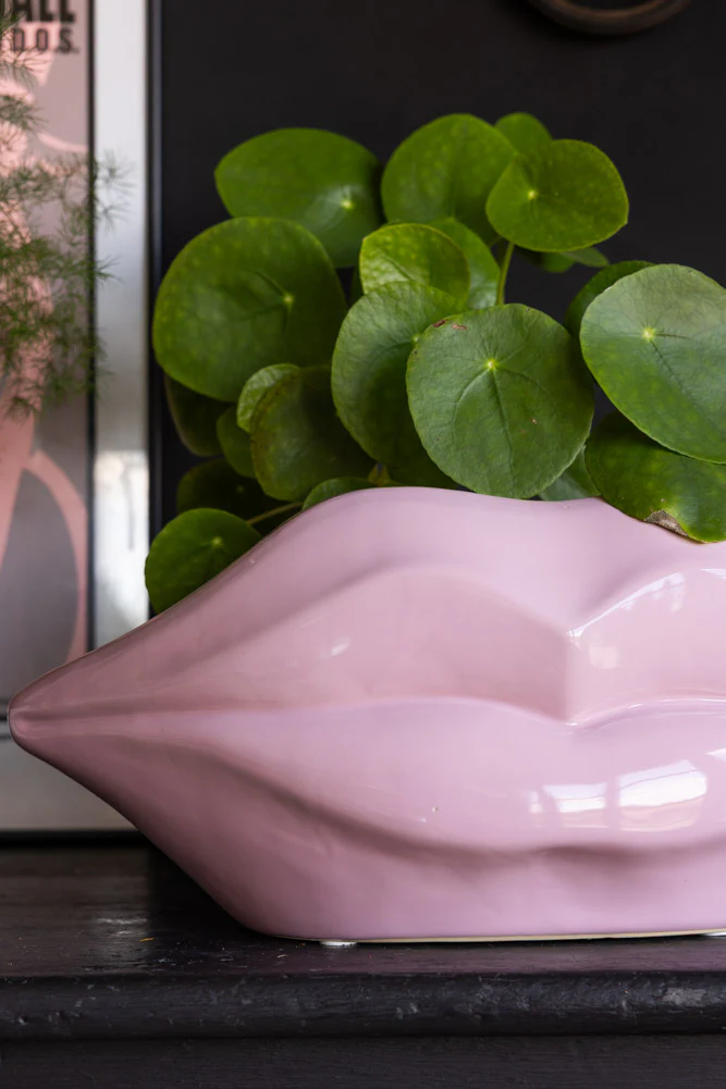 Pink Lips Indoor Planter - Image 3