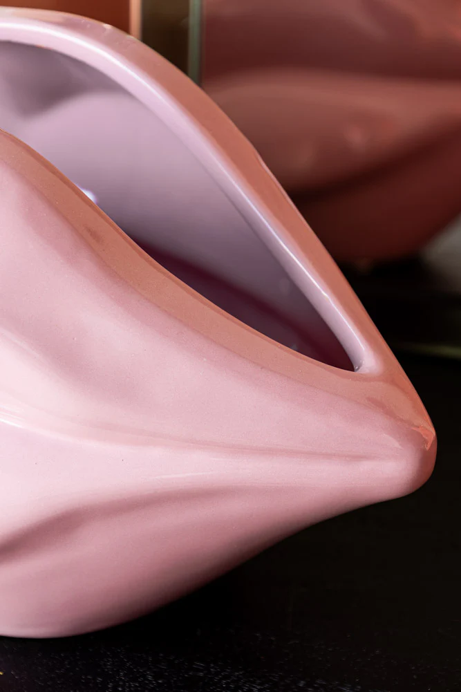 Pink Lips Indoor Planter - Image 8