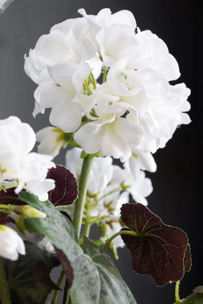 Potted Faux White Geranium - Image 2