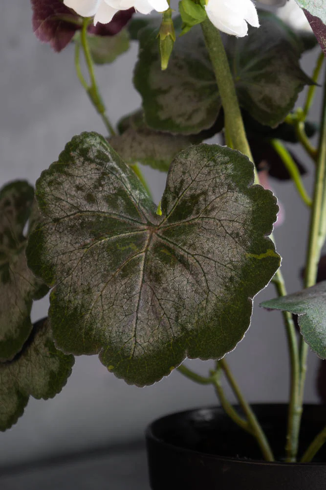 Potted Faux White Geranium - Image 5