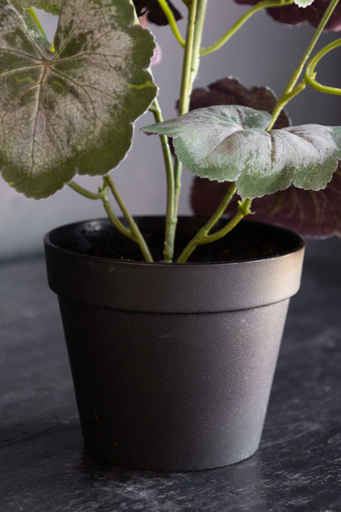 Potted Faux White Geranium - Image 6