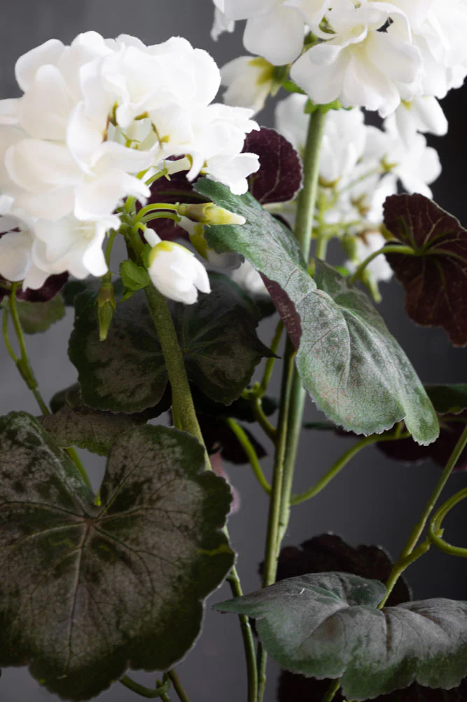 Potted Faux White Geranium - Image 7