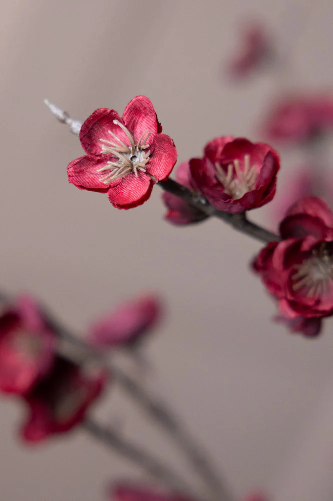 Pretty Faux Cherry Blossom Stem in Burgundy - Image 6