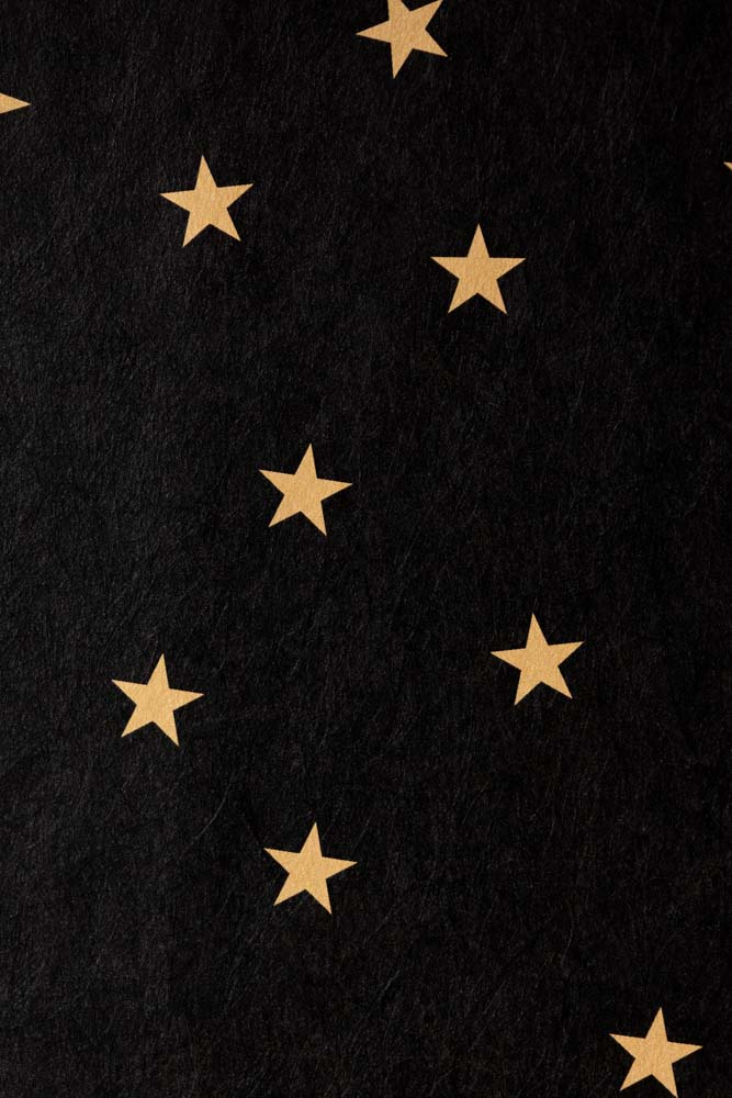 Rockett St George Falling Stars Black Mural - Image 8