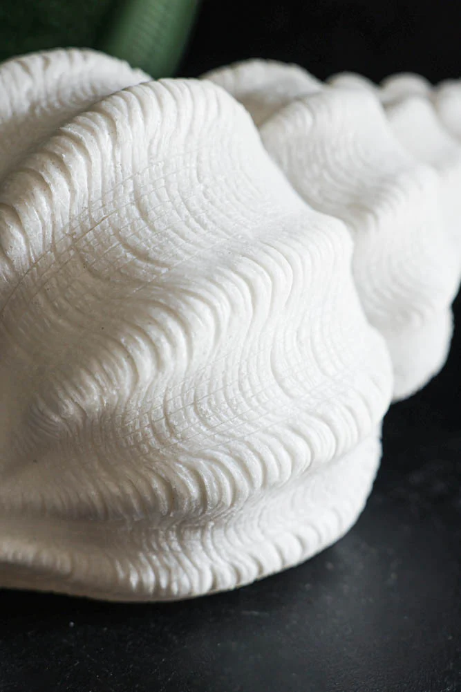 Sandstone Shell Table Lamp - Image 3