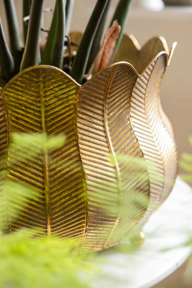 Set of 2 Rustic Petal Planters - Image 2