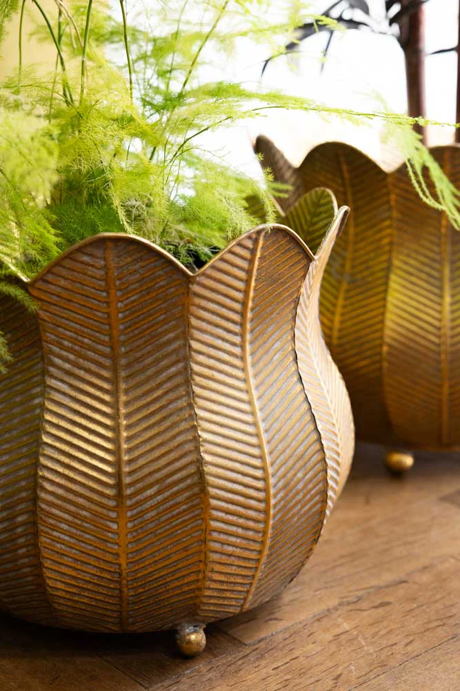 Set of 2 Rustic Petal Planters - Image 3
