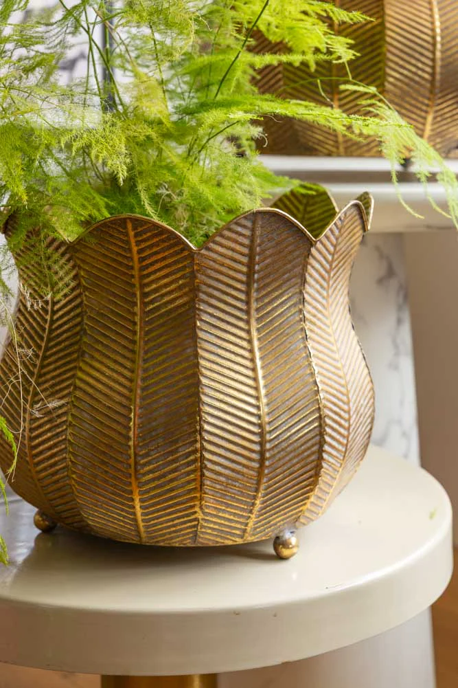 Set of 2 Rustic Petal Planters - Image 5