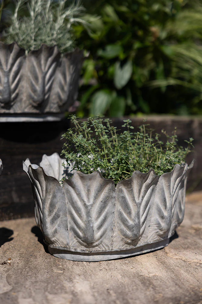 Set of 3 Petal Antiqued Planters - Image 3