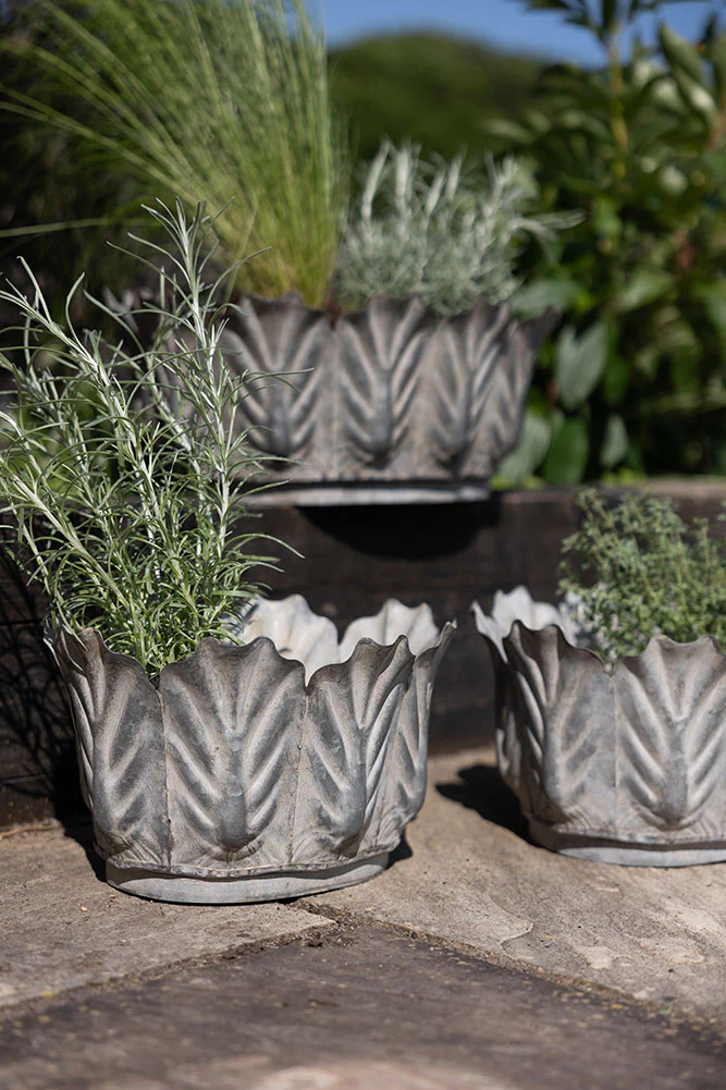 Set of 3 Petal Antiqued Planters - Image 4