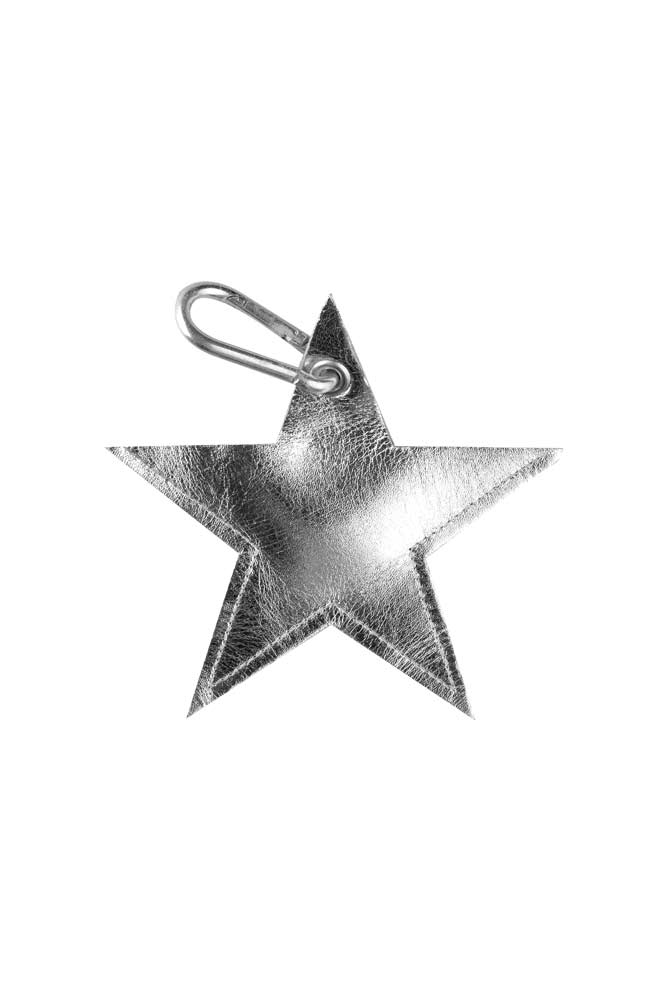Silver Star Dog Poo Bag Pouch - Image 5