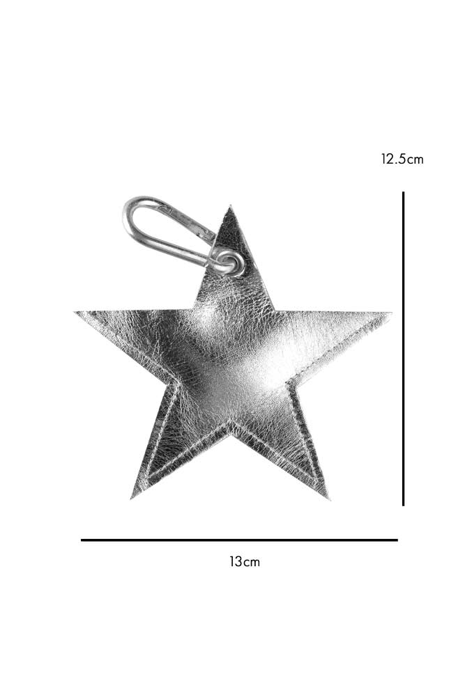 Silver Star Dog Poo Bag Pouch - Image 6