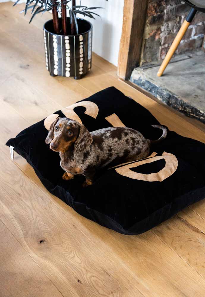 Stud Dog Bed - 3 Available Sizes - Image 12
