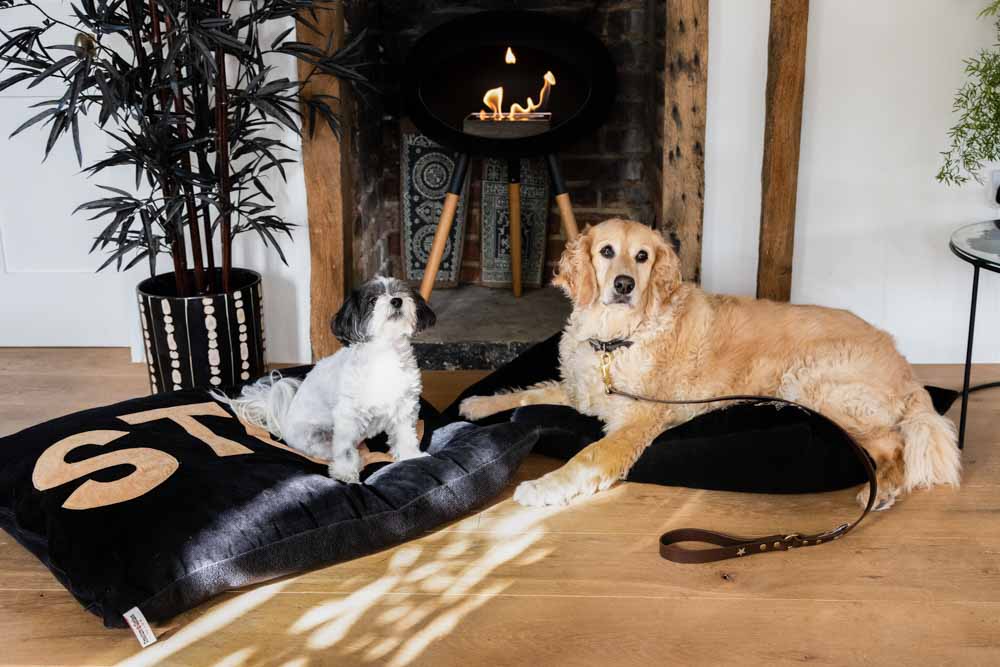 Stud Dog Bed - 3 Available Sizes - Image 16