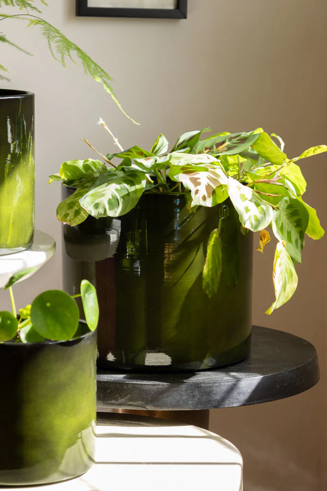 Vibrant Green Upcycled Steel Plant Pot - Available in 3 Sizes - Image 3