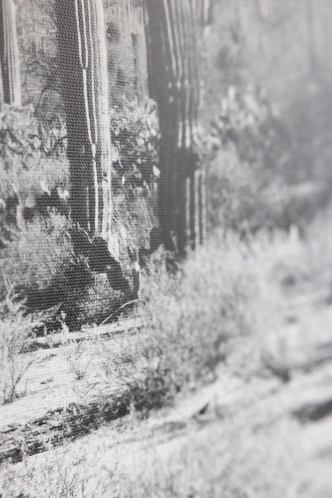 Wild West Cactus Art Print - Image 5