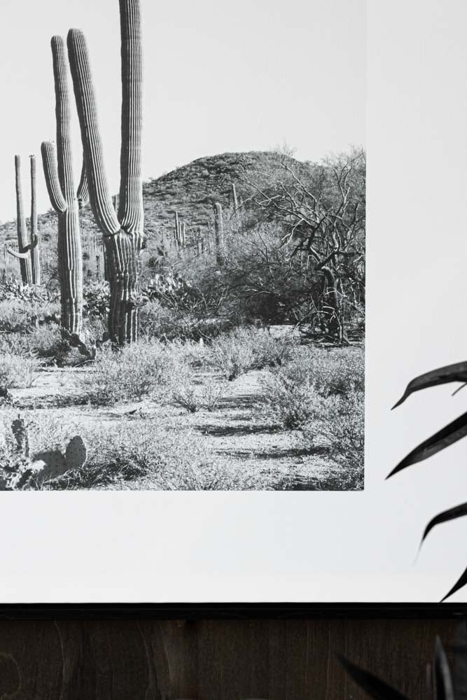 Wild West Cactus Art Print - Image 6