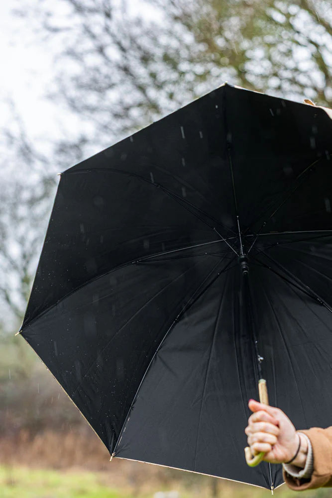 Metallic Gold Zebra Print Umbrella - Image 6