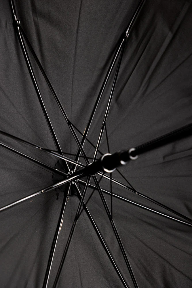 Metallic Gold Zebra Print Umbrella - Image 7